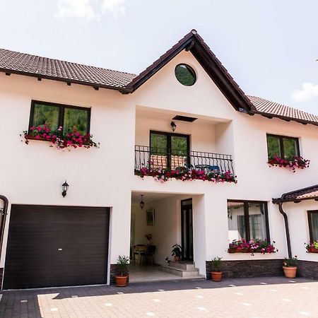 Vila Rodica Transalpina Şugag Zewnętrze zdjęcie