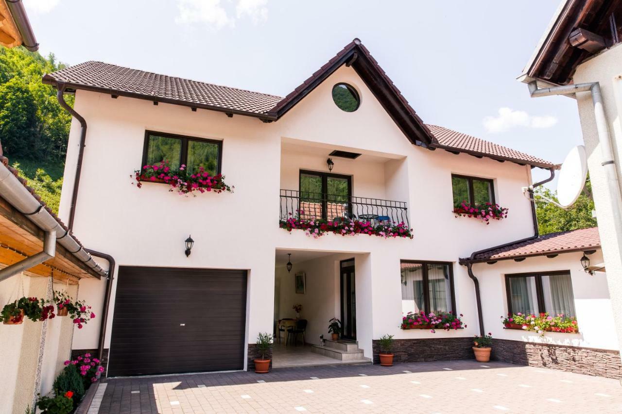 Vila Rodica Transalpina Şugag Zewnętrze zdjęcie