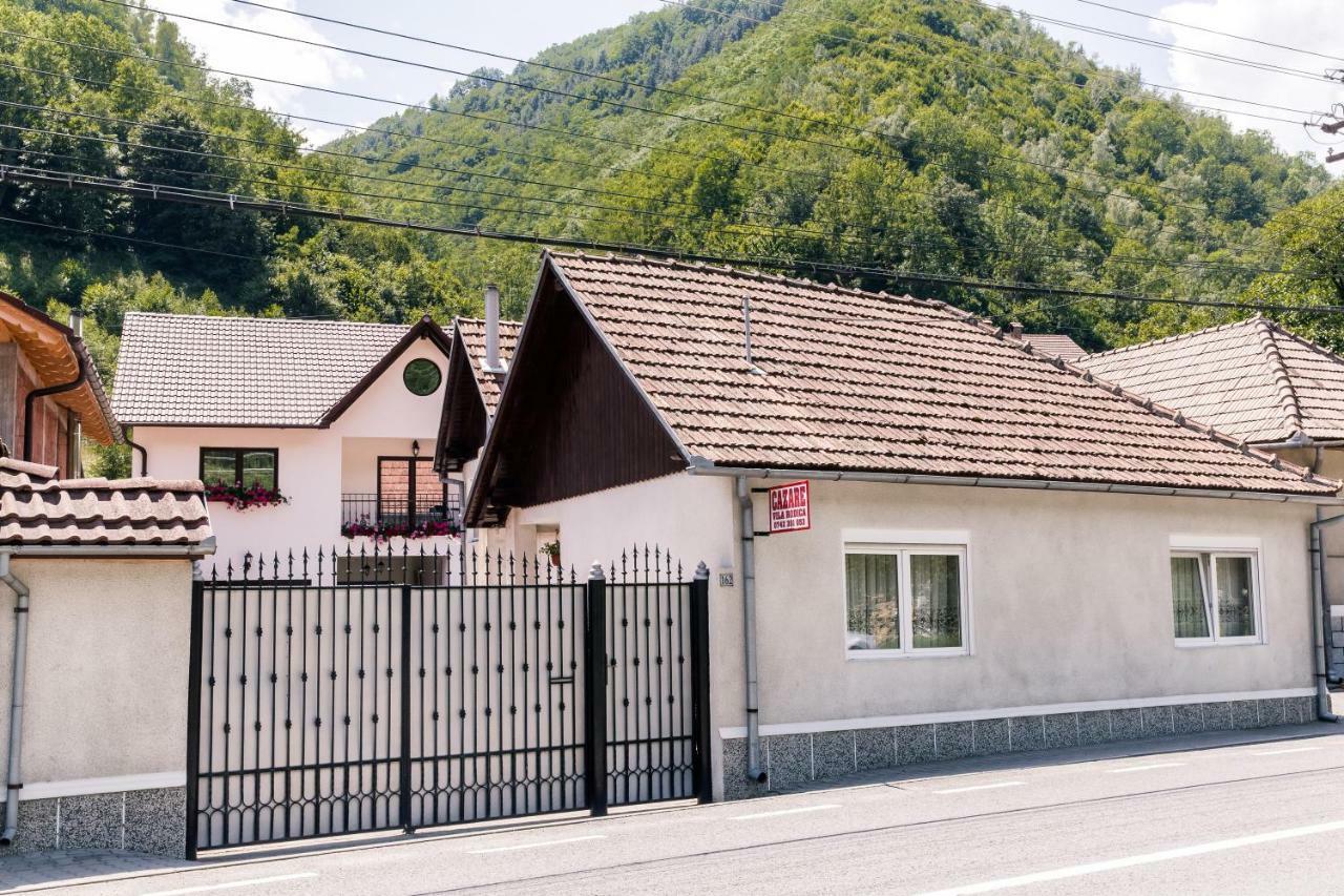 Vila Rodica Transalpina Şugag Zewnętrze zdjęcie