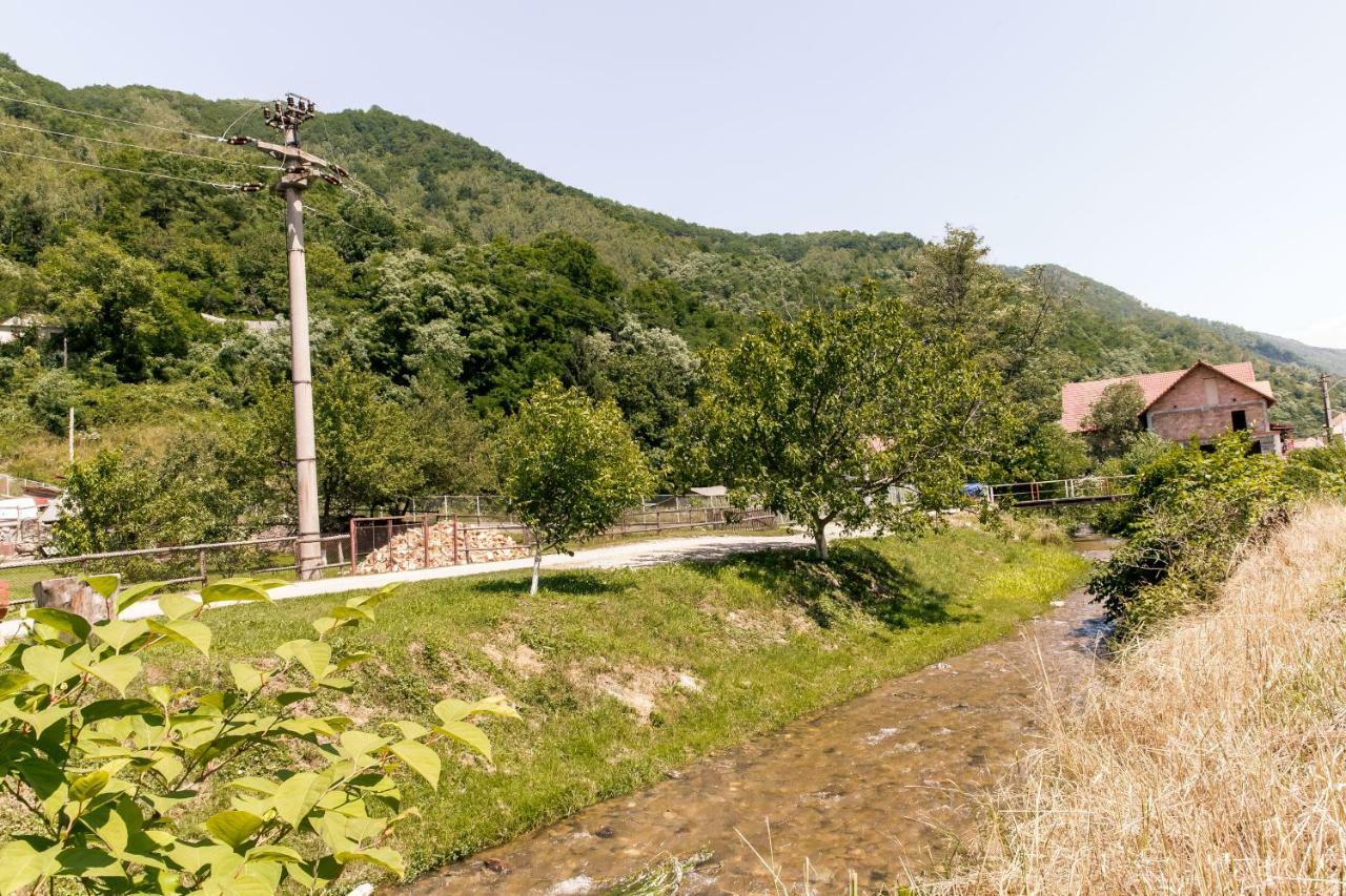 Vila Rodica Transalpina Şugag Zewnętrze zdjęcie